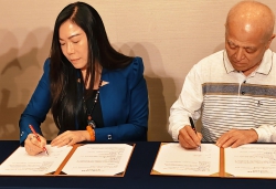 ACMB結盟沖繩褐藻巨頭！專利牛蒡＋頂級褐藻 啟動全球長壽經濟新藍海